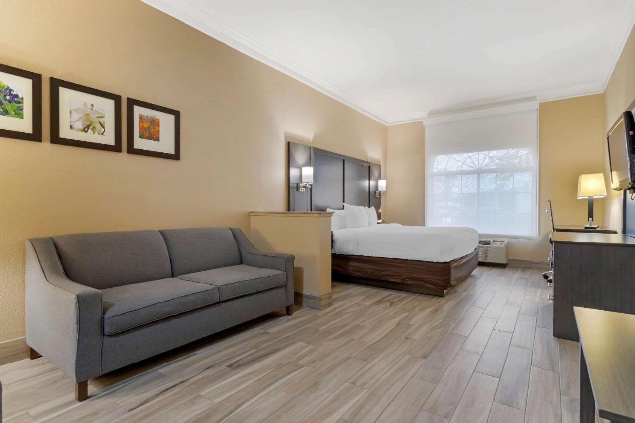 Comfort Suites Kingwood Houston North Humble 59 Eksteriør billede