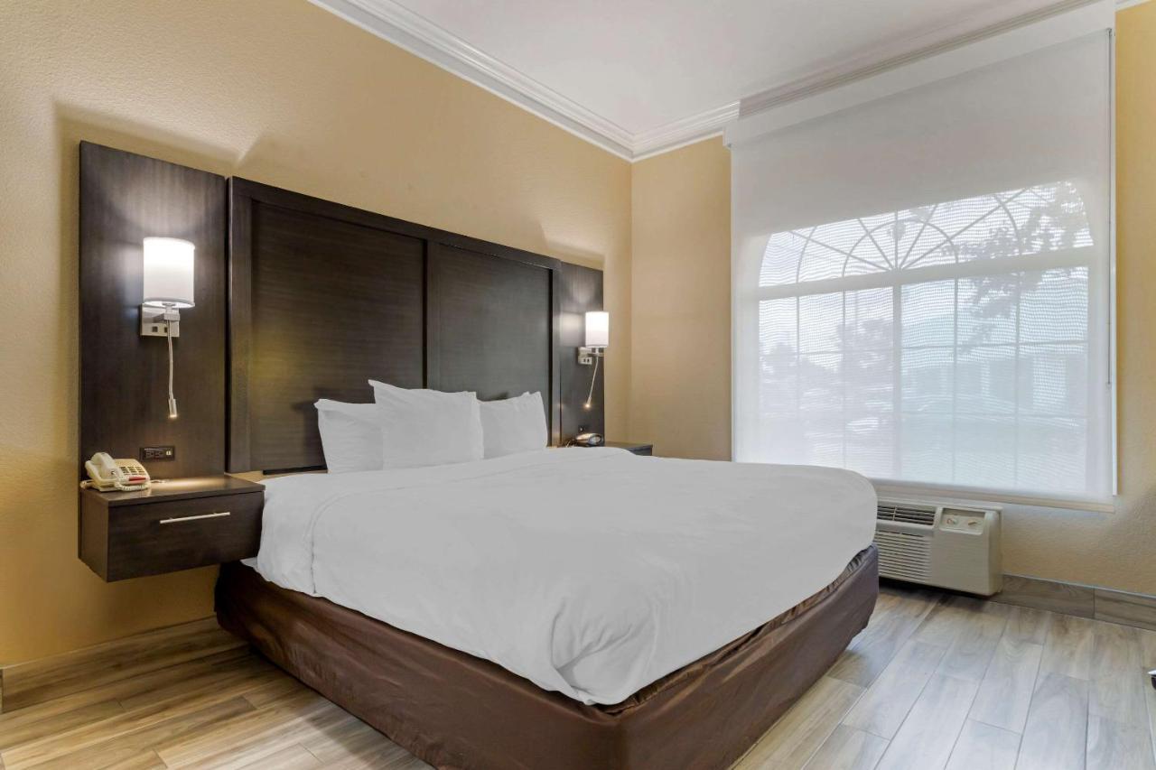 Comfort Suites Kingwood Houston North Humble 59 Eksteriør billede