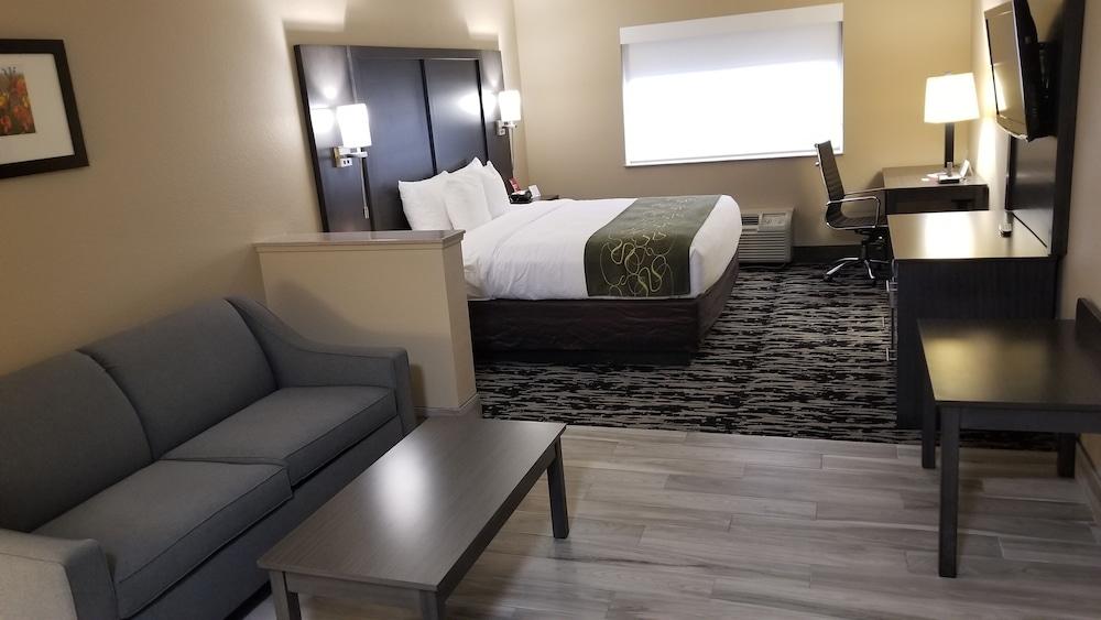 Comfort Suites Kingwood Houston North Humble 59 Eksteriør billede
